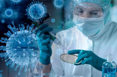 ГЗ бакалавр