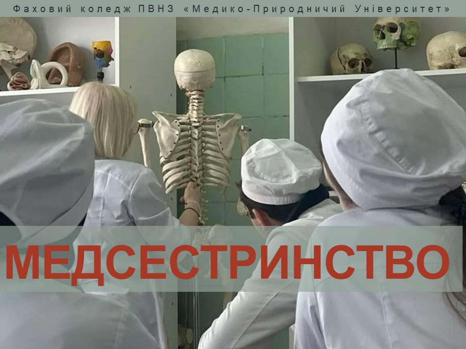 Коледж 2025 10а